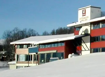 Отель Ustedalen 4*